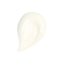 Abeille Royale Honey Treatment Day Cream Refill 50 ML