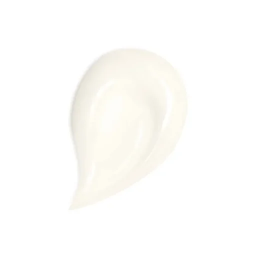 Abeille Royale Honey Treatment Day Cream Refill 50 ML