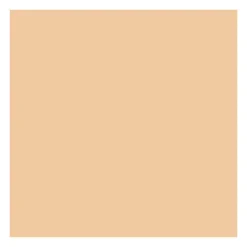 Anti-Blemish Clearing Concealer - Correttore Trattante delle Eruzioni