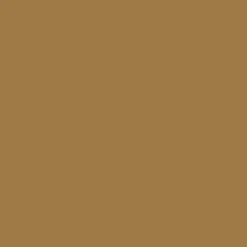 Brow Shaping Powdery Pencil - Matita Sopracciglia definite