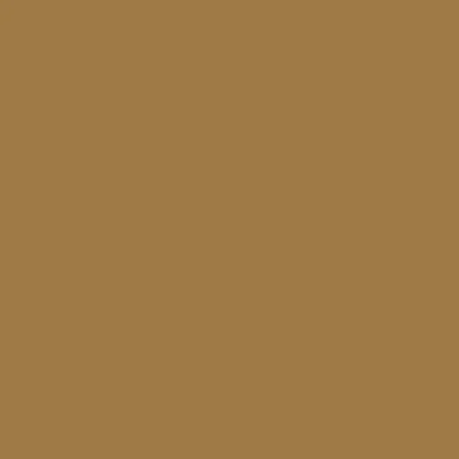 Brow Shaping Powdery Pencil - Matita Sopracciglia definite
