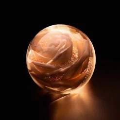 Dior Prestige La Micro-Huile de Rose