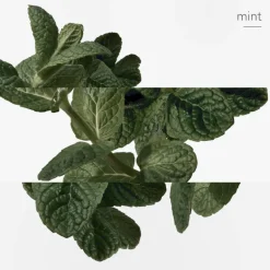Eau d'orange verte
