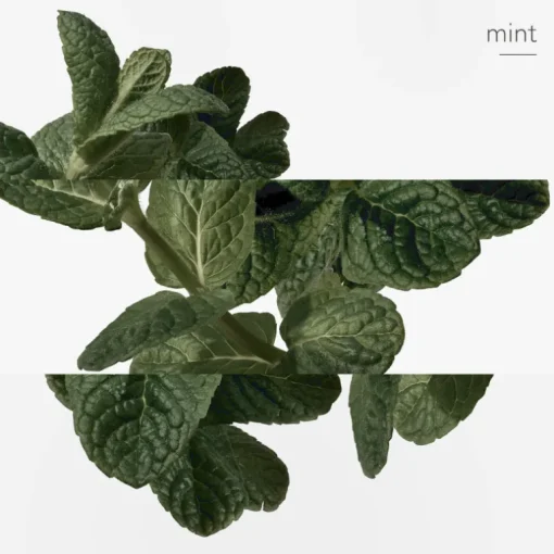 Eau d'orange verte