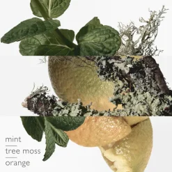 Eau d'orange verte