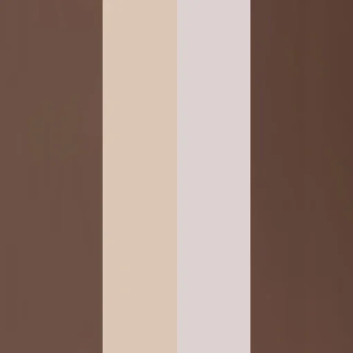Eyebrow Professional Kit