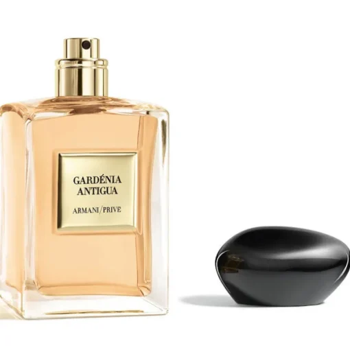 Gardenia Antigua - Les Eaux
