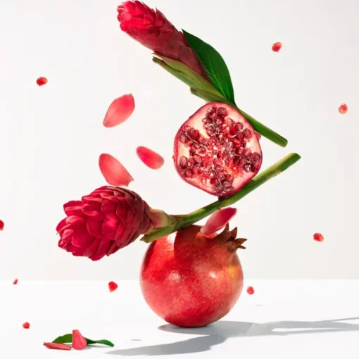 Gingembre Rouge