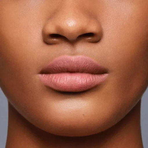 LipLiner InkDuo