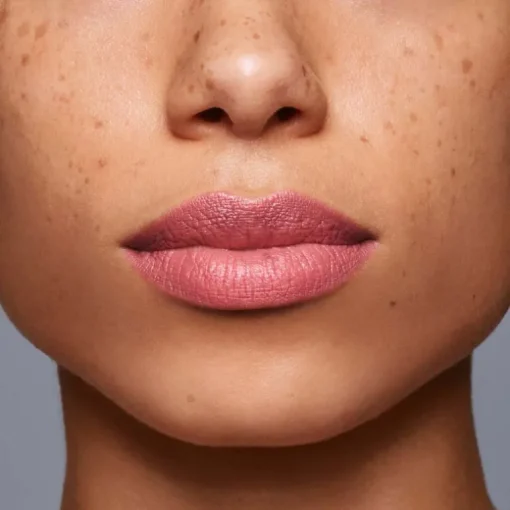 LipLiner InkDuo