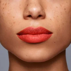 LipLiner InkDuo