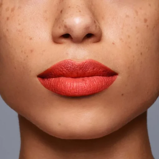 LipLiner InkDuo