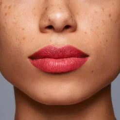 LipLiner InkDuo