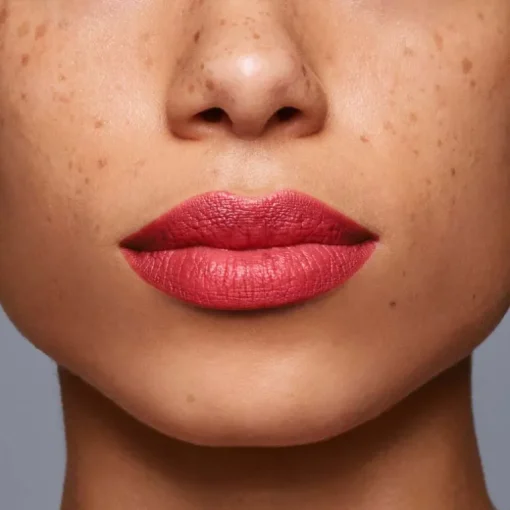 LipLiner InkDuo