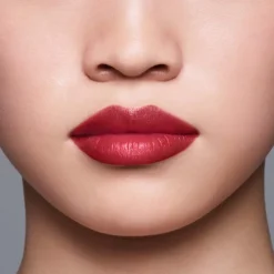 LipLiner InkDuo