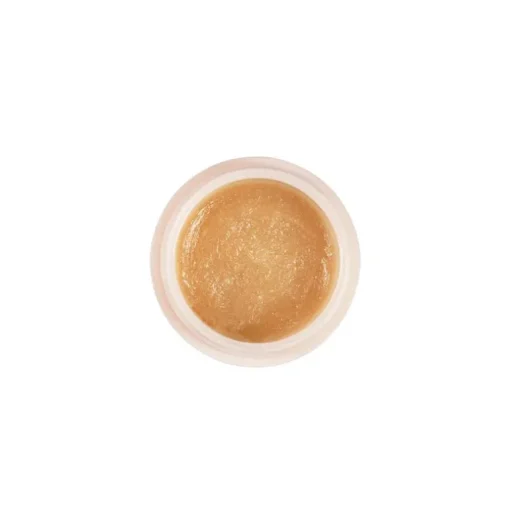 Renew my Lips N. 101 - 25 ML
