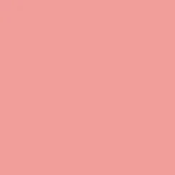 Rouge Blush