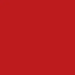 Rouge Pur Couture The Slim
