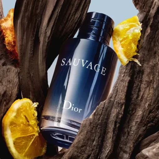 Sauvage Eau de Toilette