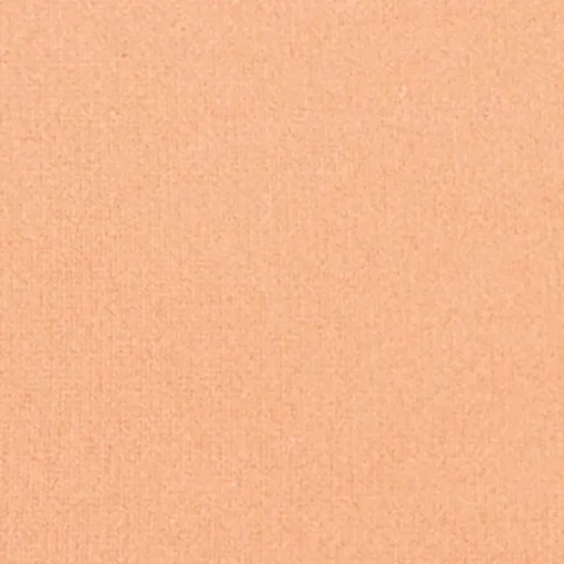Silk feel Wet & dry Powder Foundation - Fondotinta Compatto in Polvere