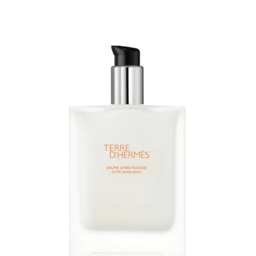 Terre D'Hermes 100 ML