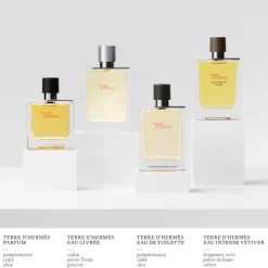 Terre d'Hermès Eau Givrée Eau de Parfum