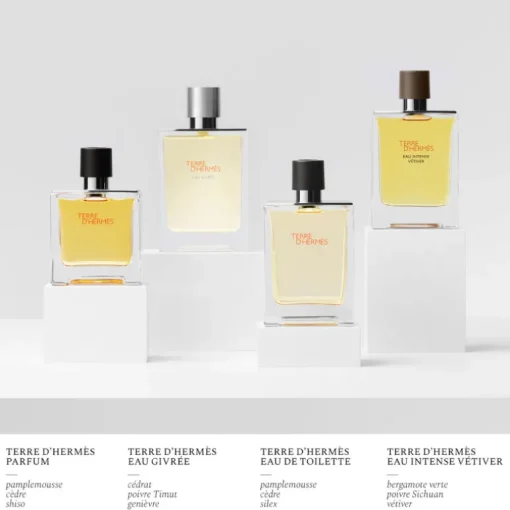 Terre d'Hermès Eau Givrée Eau de Parfum
