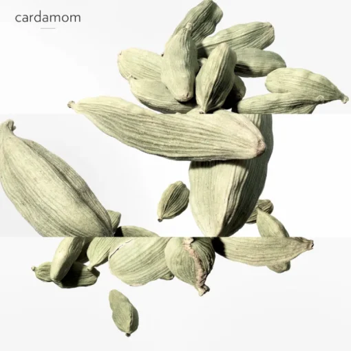 Un Jardin après la Mousson