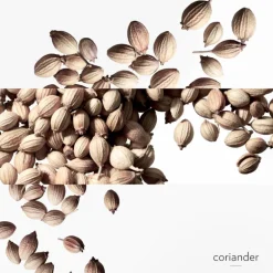 Un Jardin après la Mousson