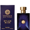 Versace Pour Homme Dylan Blue